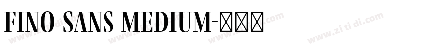 Fino Sans Medium字体转换